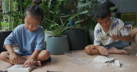 Adorable little boy and girl enjoy dig dinosour fossil toy kids sciene learnning