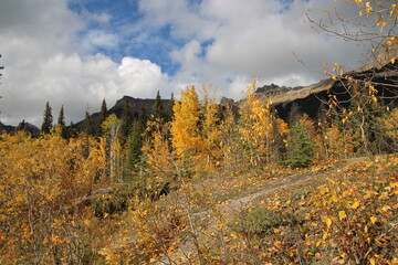 autumn landscape in the mountains