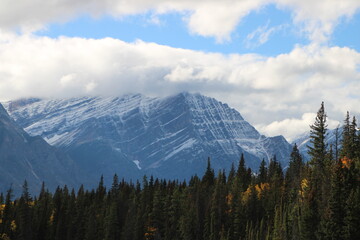 Autumn In The Mountains, Jasper National Park, Alberta