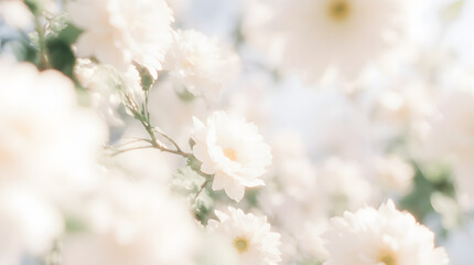 Soft Blurred Y2K Florals Vintage Background with Colorful Flowers in Gentle Hues Creating a Tranquil and Dreamy Atmosphere