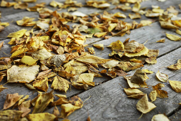 Autumn Leaves on a Rustic Wooden Surface: Capturing the Essence of Fall