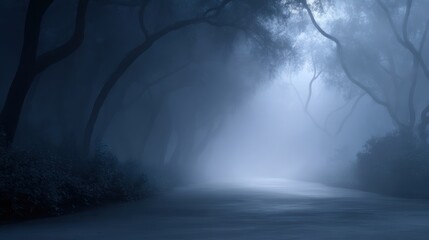 Misty forest path at night with twisted trees and faint glowing lights, moody and mysterious background