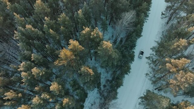 A white car driving on a road in winter forest. Aerial drone footage of a car driving along a road through a snowy pine trees in sunlight.