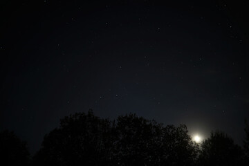 Serene Night Sky with Stars Above Trees and Moonrise in Tranquil Landscape