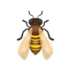 Pixel Art Honey Bee Insect Illustration With Transparent Background And Brown Yellow Body And Translucent Wings