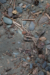 Beach Texture with Rocks and Driftwood