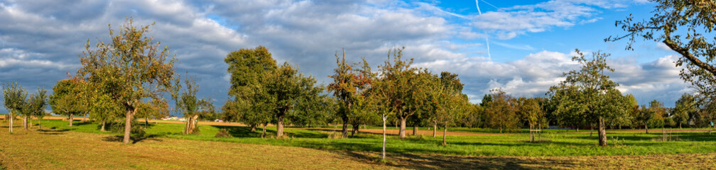 Panoramafoto einer idyllischen, menschenleeren Streuobstwiese mit in vollem Laub stehenden...