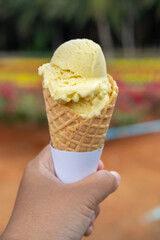 Durian ice cream in a waffle cone, with blurred garden background