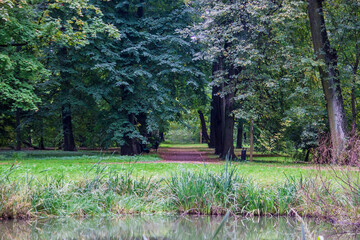 path by the pond in the city park. park landscape. place for recreation. green foliage. screensaver.