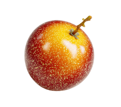 Round, vibrant passion fruit, reddish-orange skin with yellow highlights, speckled texture