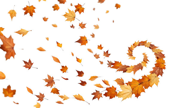 Autumn Leaves Swirling Vortex on Black Background Fall Season Design Element Decoration Template