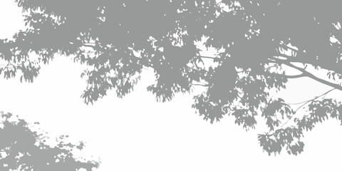 Abstract gray tree branches and leaves silhouette against a bright white background