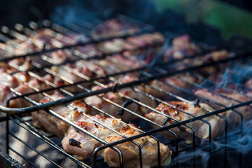 barbecue cooking on a grill. barbecue on a grill. burning embers of a barbecue grill. picnic. cooking meat over a fire. men's entertainment.