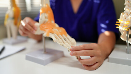 Anatomical foot skeleton model in doctor hands close-up, while consultation in orthopedic clinic....