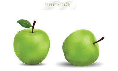 Set of Two Realistic Green Apples Vector Illustration with Leaf and Shadow on White Background


