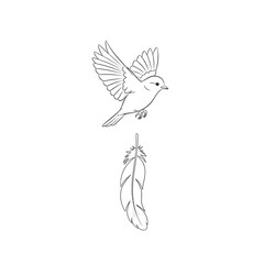 Vector art of a delicate line art illustration of a bird in flight above a single feather, isolated on a, symbolizing freedom, nature, and lightness