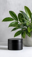 Black Cosmetic Jar Mockup Green Plant White Background Product Presentation