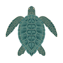 Stylized top-down view of a sea turtle, featuring a colorful patterned shell and flipper design, and a detailed head