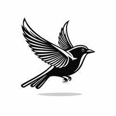 Fototapeta premium Elegant black and white bird illustration soaring in flight isolated