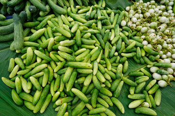 Cucumber is a nutritious fruit with a high water content. Group cucumber background (Cucumis sativus). Cucumbers are sold in local Thai markets.