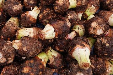 Group of fresh taro vegetable pile called Colocasia esculenta in scientific name, stcking raw Taro in local market. Pile of fresh taro root retail sale in street market. taro backgound top view.