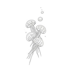 Vector art of a delicate line drawing of a cluster of jellyfish floating in the ocean, with small bubbles rising around them