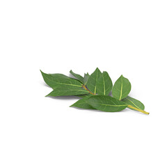 green bay laurel leaves with brown stems isolated on transparent background, 3D PNG © Design Mystery