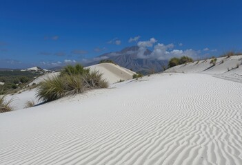illustration - Sand Dunes Under Blue Sky with Sparse Green Desert Shrubbery