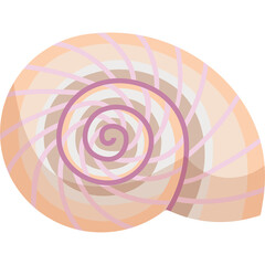 Stylized Seashell Illustration With Spiral Pattern And Pastel Colors In A Transparent Background