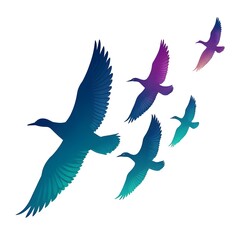 A flock of gradient colored birds flying together isolated on white background, symbolizing freedom and migration in nature