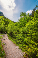 Hiking in Canyon in Prosiecka Valley near Kvacianska valley in Liptov region in northern Slovakia