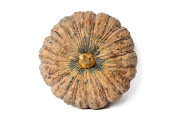 Photo of pumpkin taken with a high-resolution camera using the focus-stacking technique on a white background.
