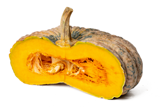 Photo of pumpkin taken with a high-resolution camera using the focus-stacking technique on a white background.