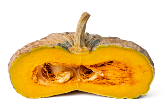 Photo of pumpkin taken with a high-resolution camera using the focus-stacking technique on a white background.