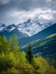 Obraz premium Majestic snow-capped mountain peaks towering over lush green forested hills under a dramatic cloudy sky in a tranquil wilderness setting