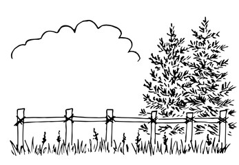 Hand drawn vector illustration with black outline. Nature, summer landscape. Spruce, coniferous trees, fence and grass, cloud. Space for text. Ink sketch.