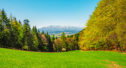Peak Tri Koruny or Trzy Korony during day with green meadow and trees in spring. Pieniny National park in Slovakia and Poland © Zedspider