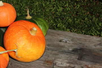 very beautiful orange pumpkin on an autumn background