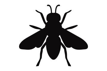 Bee silhouette vector, Bee icon, insect vector silhouette