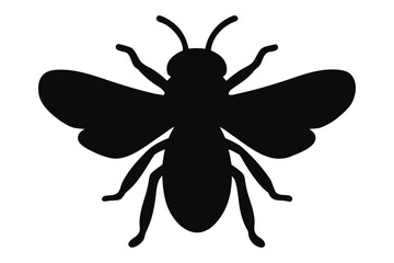 Bee silhouette vector, Bee icon, insect vector silhouette