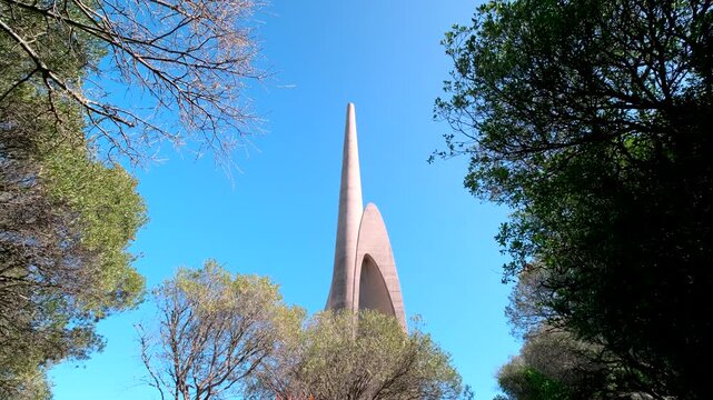Upward view between trees of main column of Afrikaans language monument in Paarl