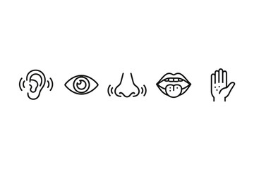 Five senses icon set vector line art. Human sensory perception concepts. Sight, hearing, smell, taste, touch. Eye, ear, nose, mouth with tongue, hand symbols collection.