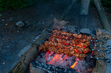 Barbecue on a picnic with roasted kebabs. Half-roasted pieces of pork on skewers in the forest in autumn.