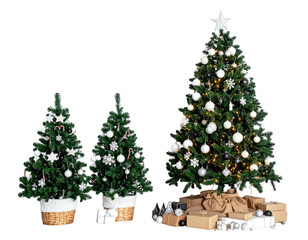 Two small, one large decorated evergreen trees with gifts