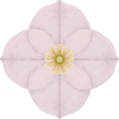 헬레보루스_보라색꽃_수채화일러스트