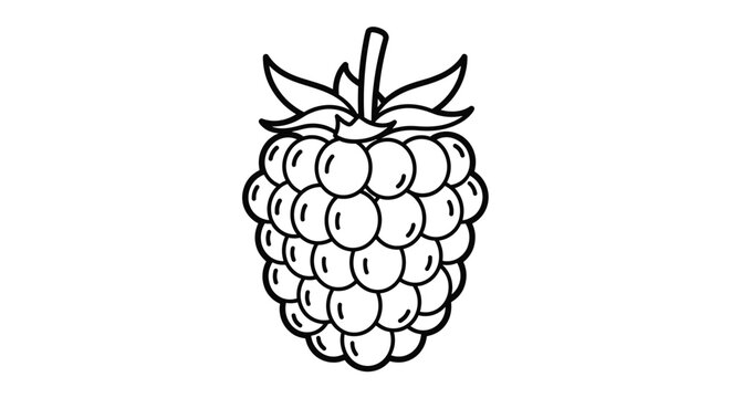 A black and white illustration of a single raspberry with a stem and leaves on top.