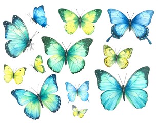 Watercolor butterfly collection