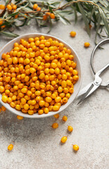 Bowl of fresh sea buckthorn berries with green branch