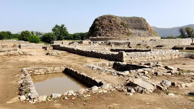 Serene view of the holy pond at Dharmarajika Stupa surrounded by historic Buddhist ruins