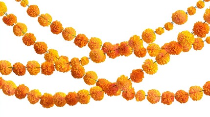 Marigold flower garland isolated on white background, a traditional decoration for indian festivals and celebrations